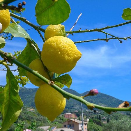 Casa Limoni Villa Monterosso al Mare Luaran gambar