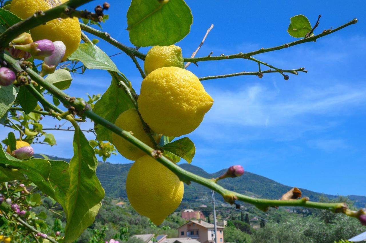 Casa Limoni Villa Monterosso al Mare Luaran gambar